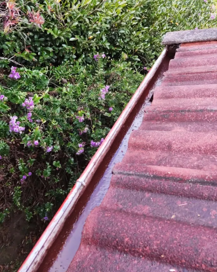 The same gutter cleared and clean