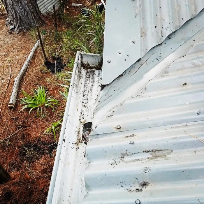 Gutter cleared of pine needles and debris