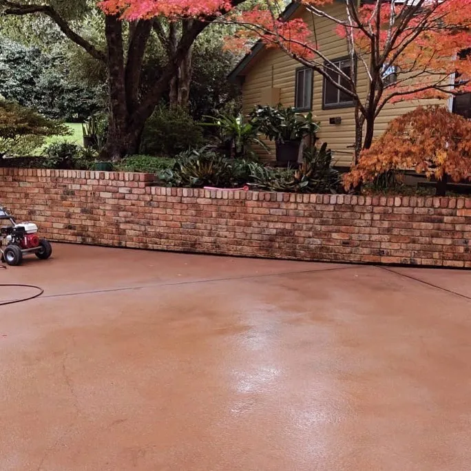 Freshly pressure-washed driveway