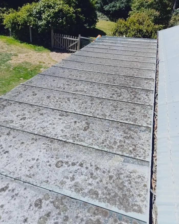 Glass verandah roof covered in moss and grime